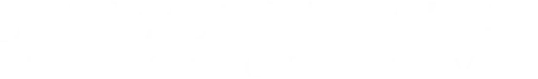 ACE COMBAT8 WINGS OF THEVE